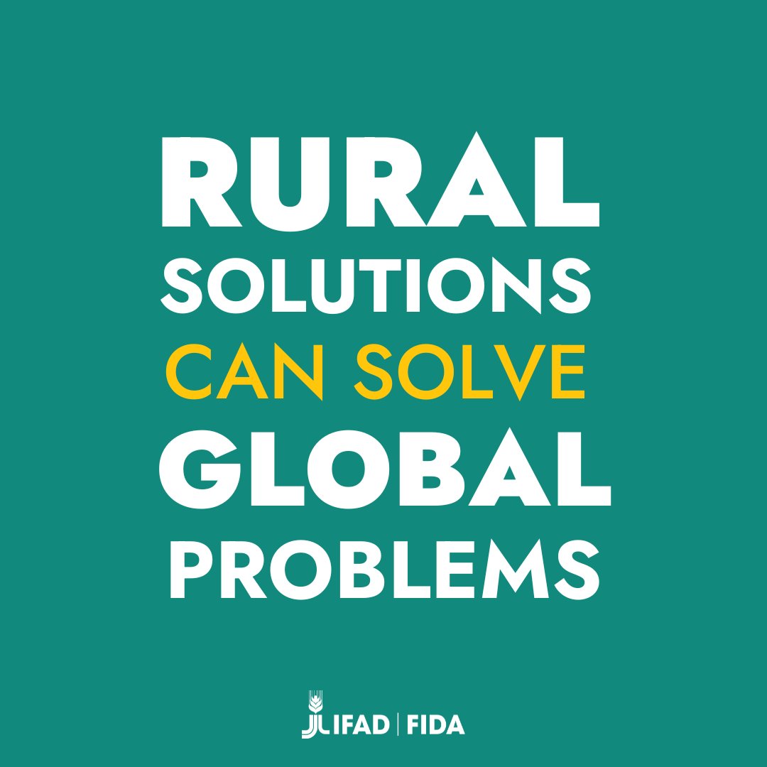The road to a resilient future runs through rural areas 🌾🌎 

#InvestInRuralPeople