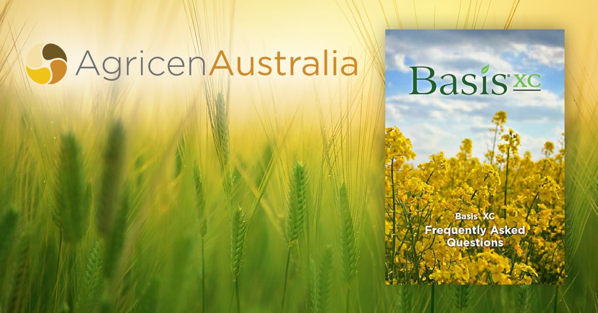 Download the Basis XC FAQ Booklet and learn how the proven technology in Basis XC helps growers get more out of their crop fertility programs. hubs.la/Q03zhWh30