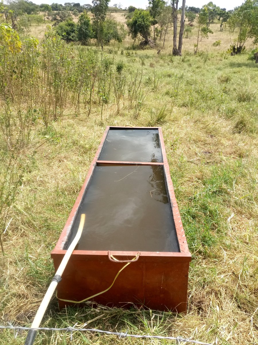 If the water troughs are this full when u get to the farm tomorrow, give the boys their JULY BONUS!!!

#RaisedByCows