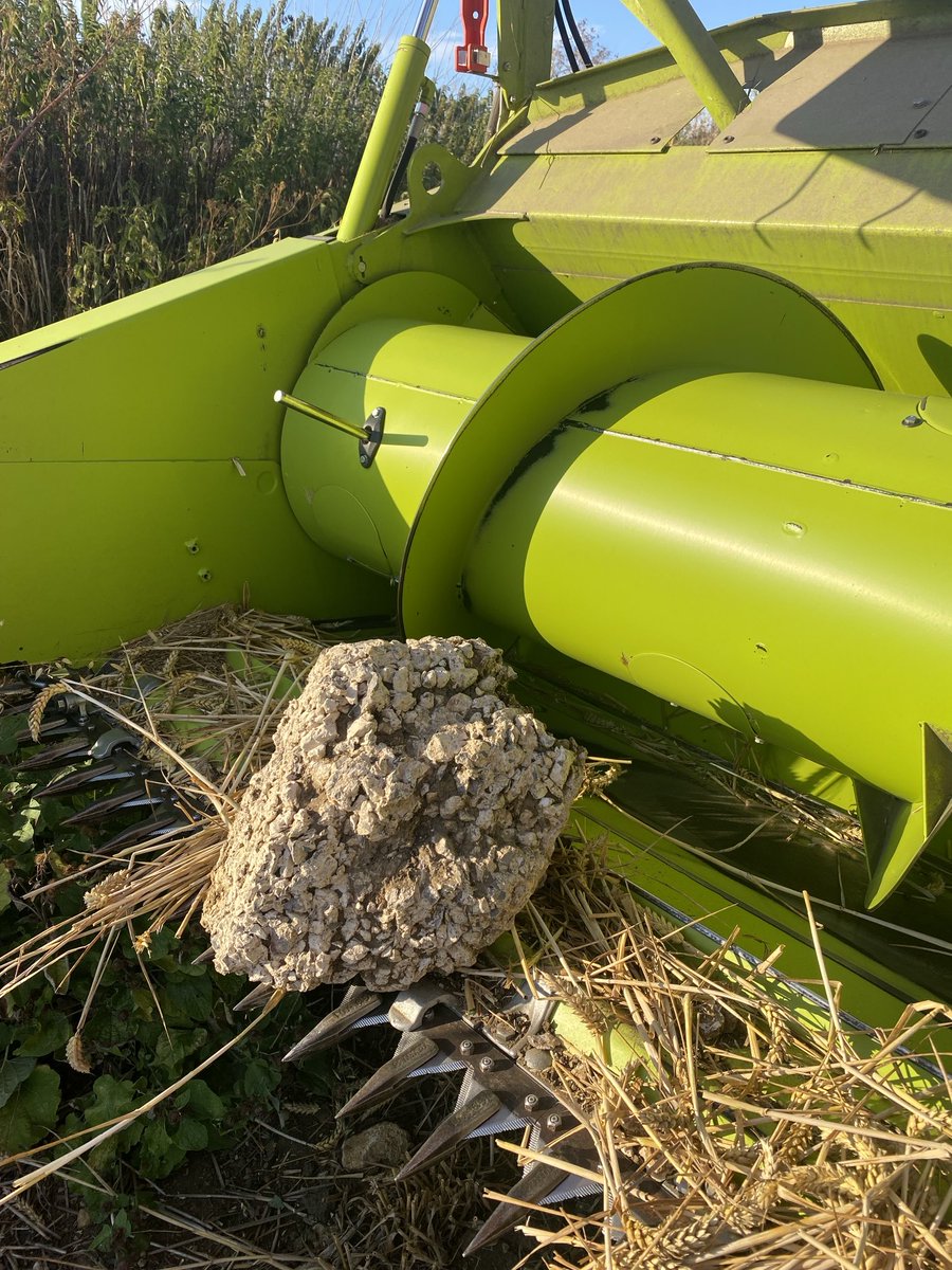 Thank goodness for quick reactions and a convenient STOP button on the joystick!! I knew my time spent in the slips for HCCC was well spent 🏏❤️🚜 #hintoncharterhousecricketclub
