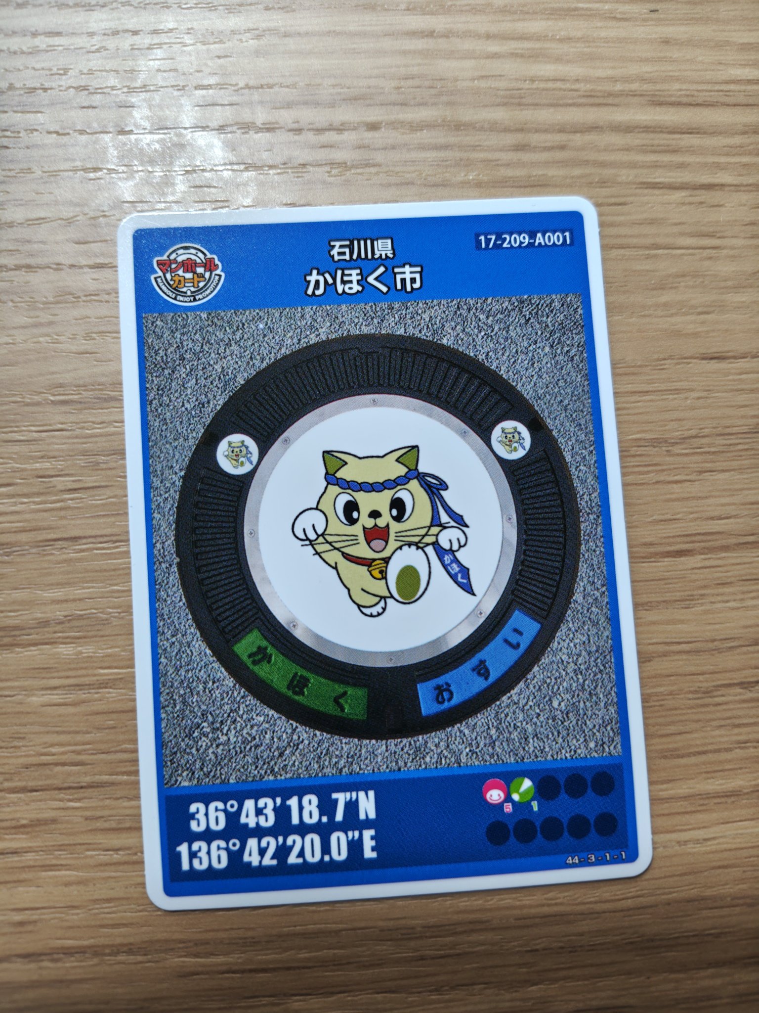 満子 入間川 2025年 段戸川C&R区間 いよいよ解禁！