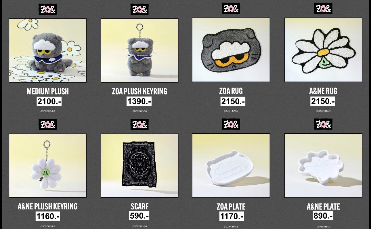 A&NE PLUSH KEYRING gdragon ZONFRIENDS（zoA – Sök / X）