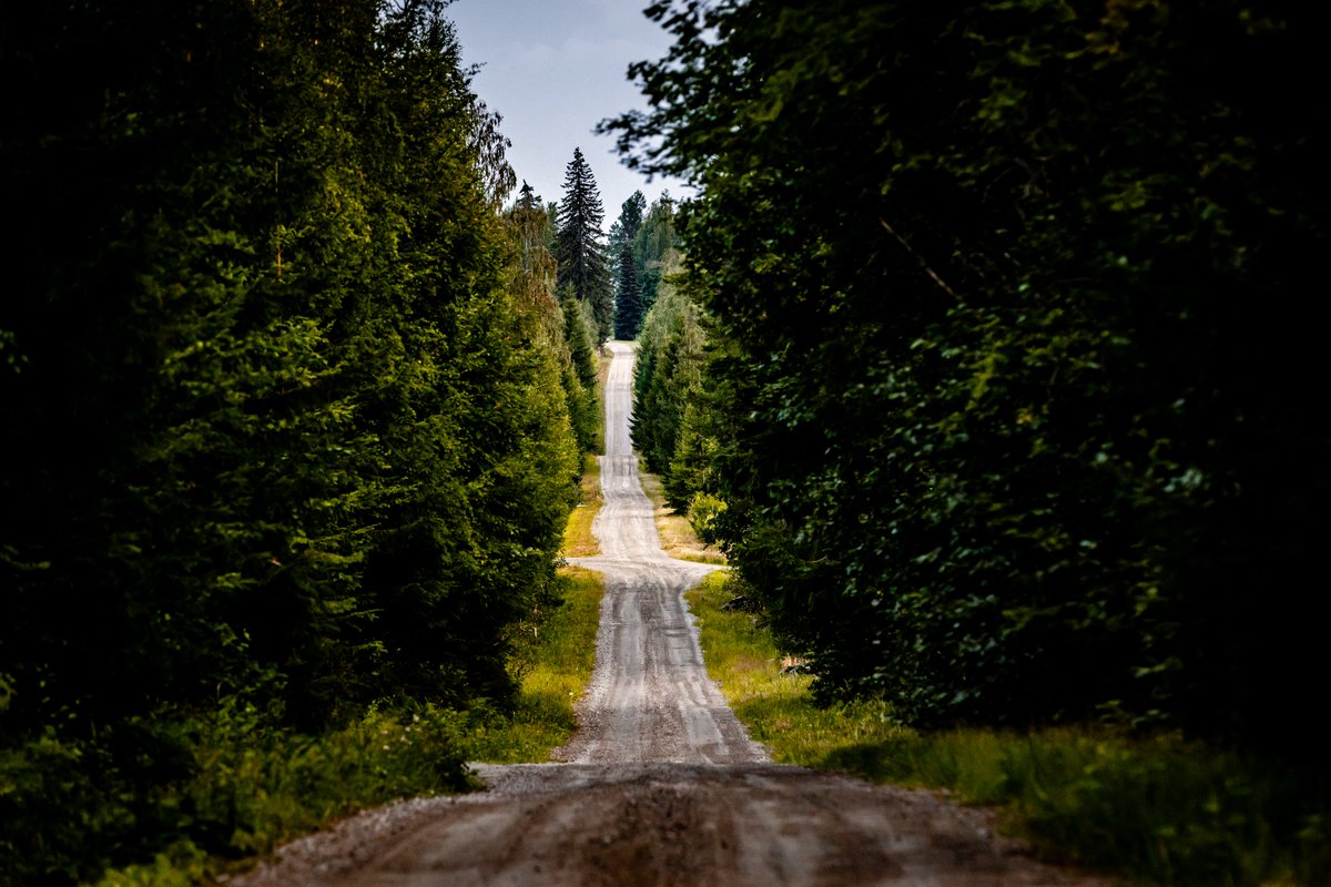 Rally fans see more than just a straight road... 🔥🤤

#WRC | #RallyFinland 31 July - 3 August🇫🇮