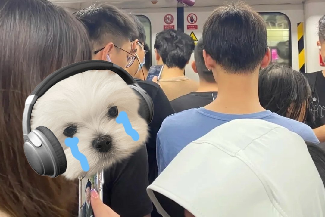 我真的建议中国男生出门在外多喷点香水！！！

如果嫌香水太贵你哪怕是喷点六神花露水也是好的啊！！！

我挤地铁的时候总是能闻到那种酸汗臭味，遇到再帅的男人如果我闻到他身上一股汗味我会立马就没了兴趣了…

本来我这个人对味道就比较敏感，如果一个男生身上有香味我是会加分的！！ https://t.co/XMrBvIoa8q
