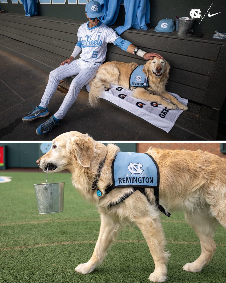 𝐓𝐡𝐚𝐧𝐤 𝐲𝐨𝐮 𝐑𝐞𝐦𝐢 🩵

Our favorite dawg is ready for the 𝙜𝙤𝙡𝙙𝙚𝙣 𝙮𝙚𝙖𝙧𝙨 of retirement! Thank you for all you’ve done for Carolina Baseball. You will always be a part of our family.