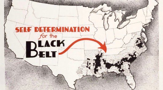 deephousegibbon's tweet photo. Exactly right—American oppression of black people is not just racism, it’s National Oppression https://t.co/tQONxyCAJM