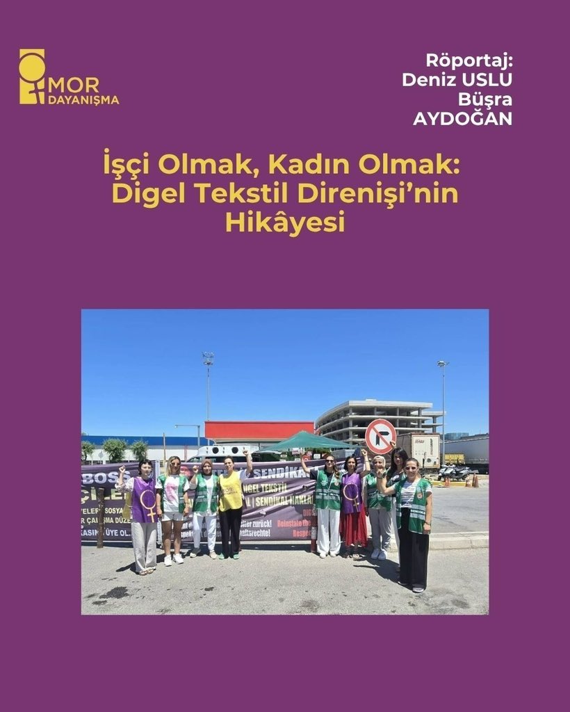 Mor Dayanışma tweet media