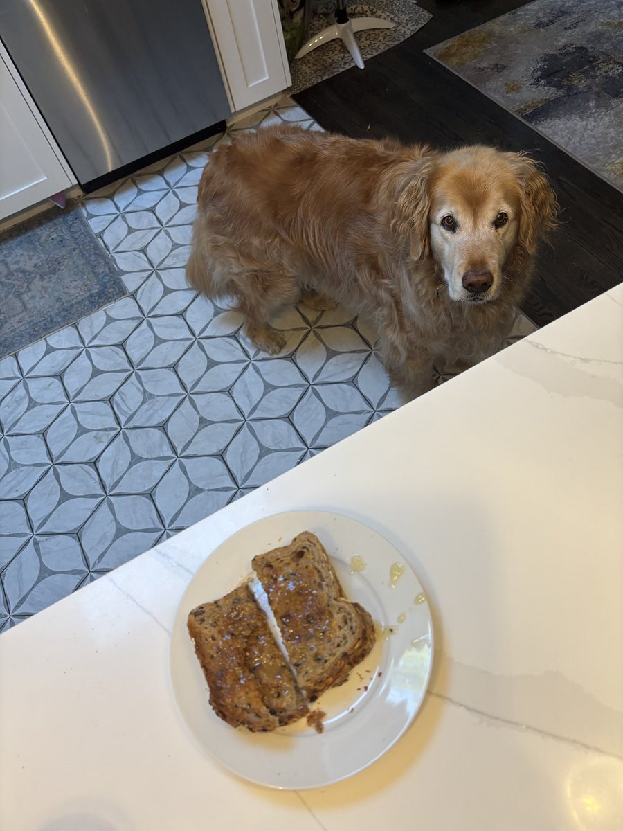 Filomena Tassi tweet media