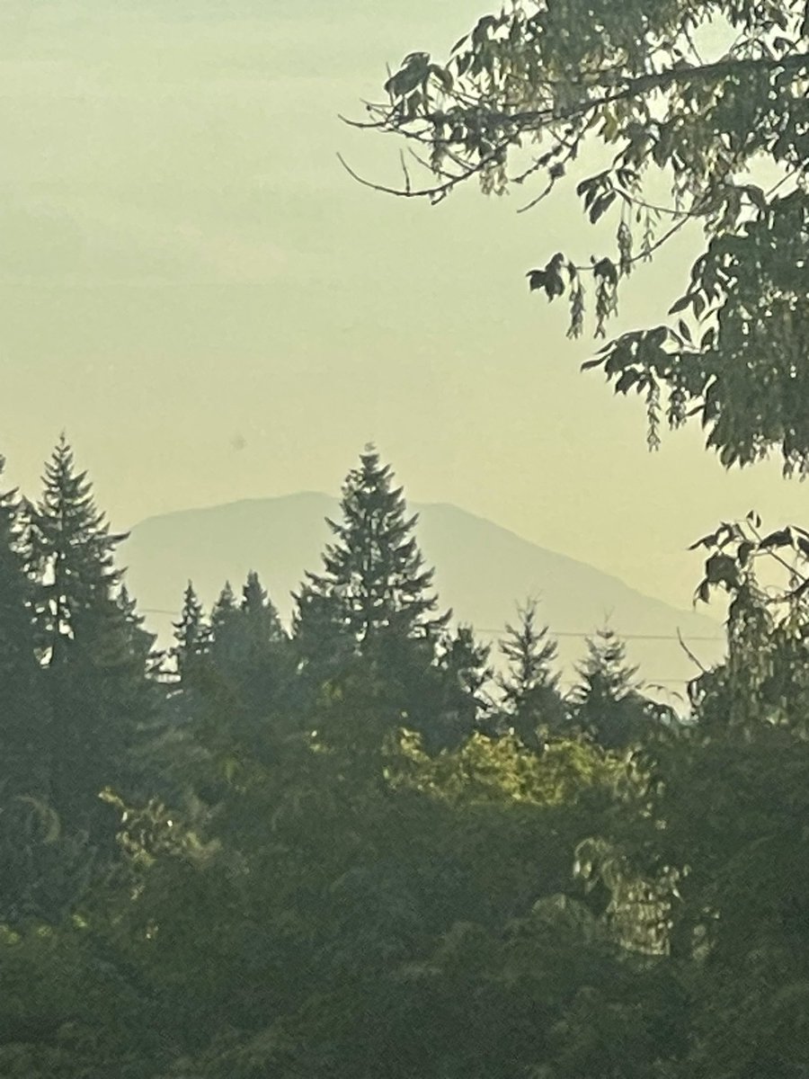Suburban Crypto (@suburbancrypto) on Twitter photo Happy hazy hump day from the PNW! I’ll be out trying to get local businesses to allow me to deploy <a href="/helium_mobile/">Helium Mobile 🆓 ☁️</a> hotspots, and later spending some time at the rink.
What are you doing today? Happy hazy hump day from the PNW! I’ll be out trying to get local businesses to allow me to deploy <a href="/helium_mobile/">Helium Mobile 🆓 ☁️</a> hotspots, and later spending some time at the rink.
What are you doing today?