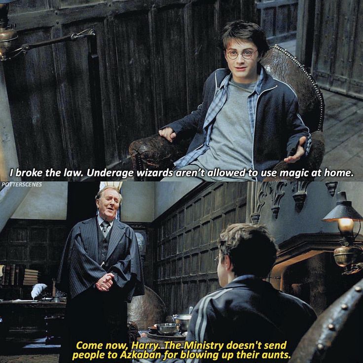 7 August 1993: Harry Potter was dropped off at the Leaky Cauldron by the Knight Bus and met Cornelius Fudge.