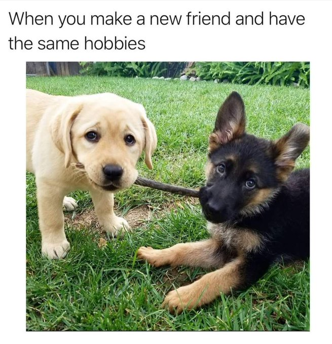 ☺️💞😘🐾😆