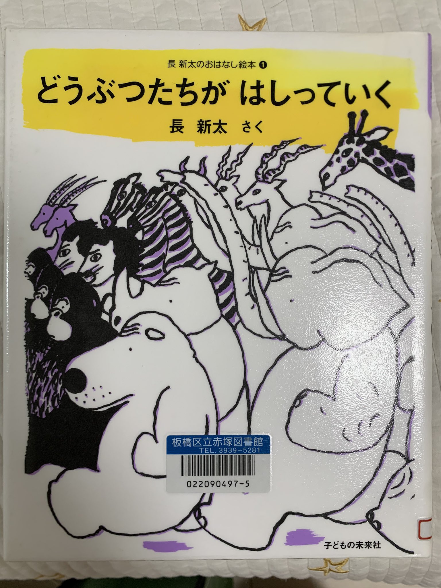 環境人文学者うみがめ on X: 