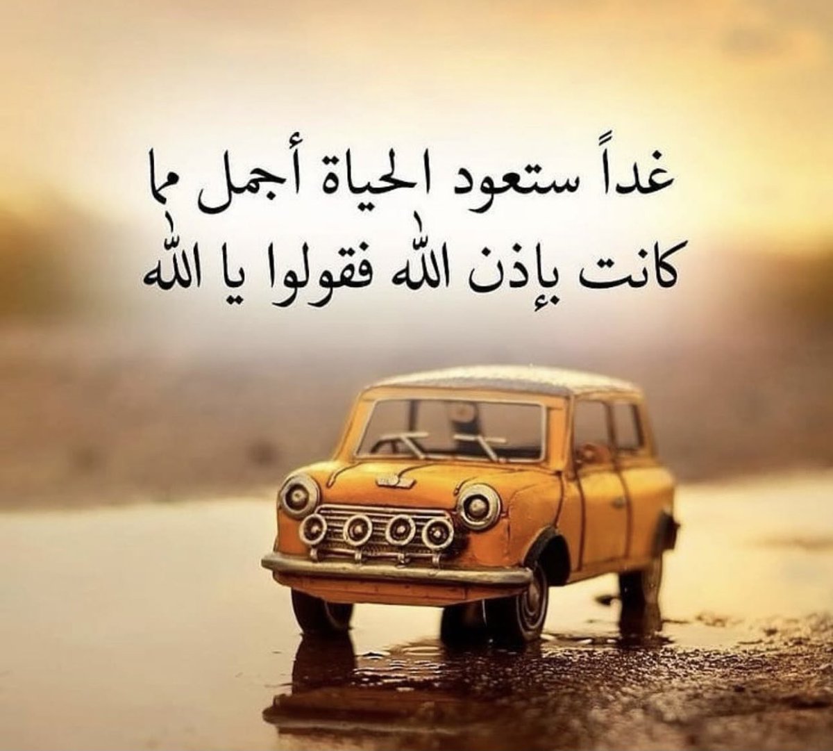 ZynbAlrfa's tweet image. 