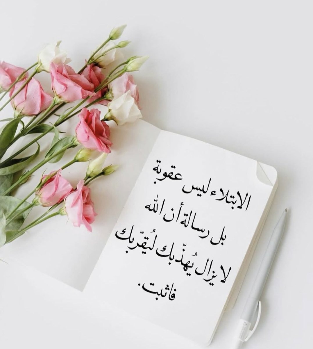 ZynbAlrfa's tweet image. 