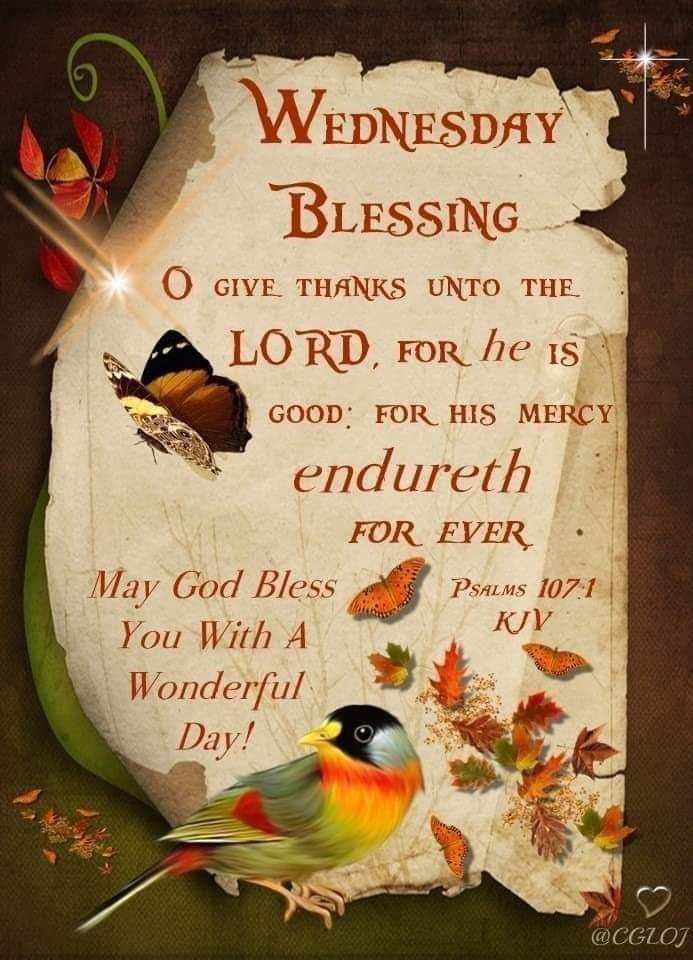 Miguel M. Jackson (@godswordisfree) on Twitter photo 