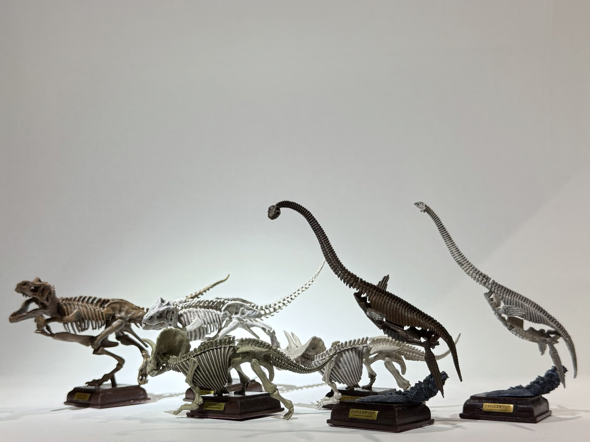 ネイチャーテクニカラー　古生物　台座シリーズ　ガチャガチャ　骨格　恐竜 ネイチャーテクニカラー 古生物 トリケラトプス 骨格標本色