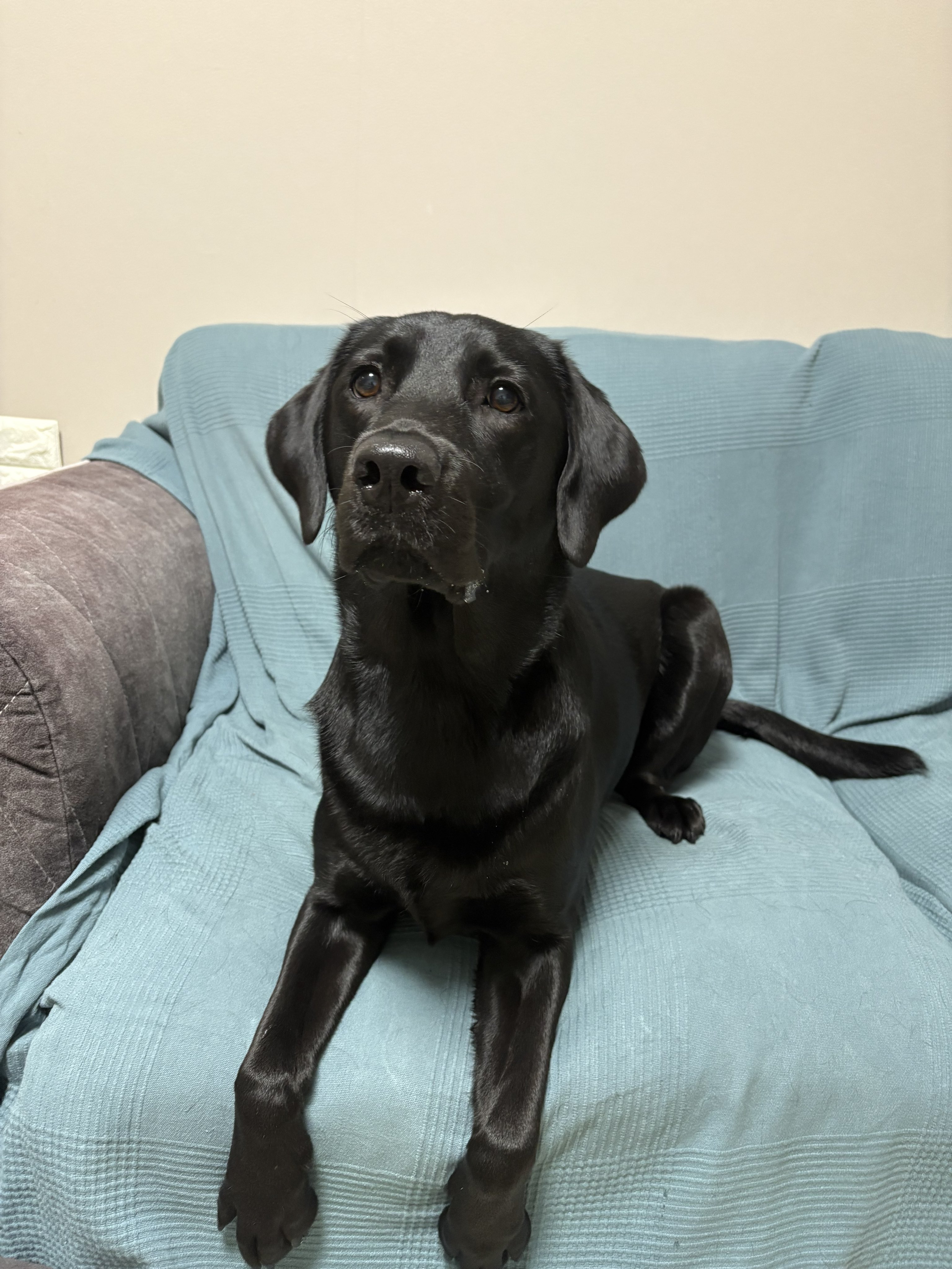 ともきち¨̮⃝ ︎︎🦖1y (@tOmOt1652) / X