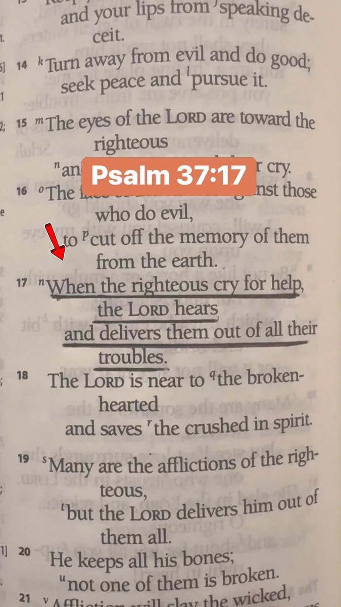 Bible 365 tweet media