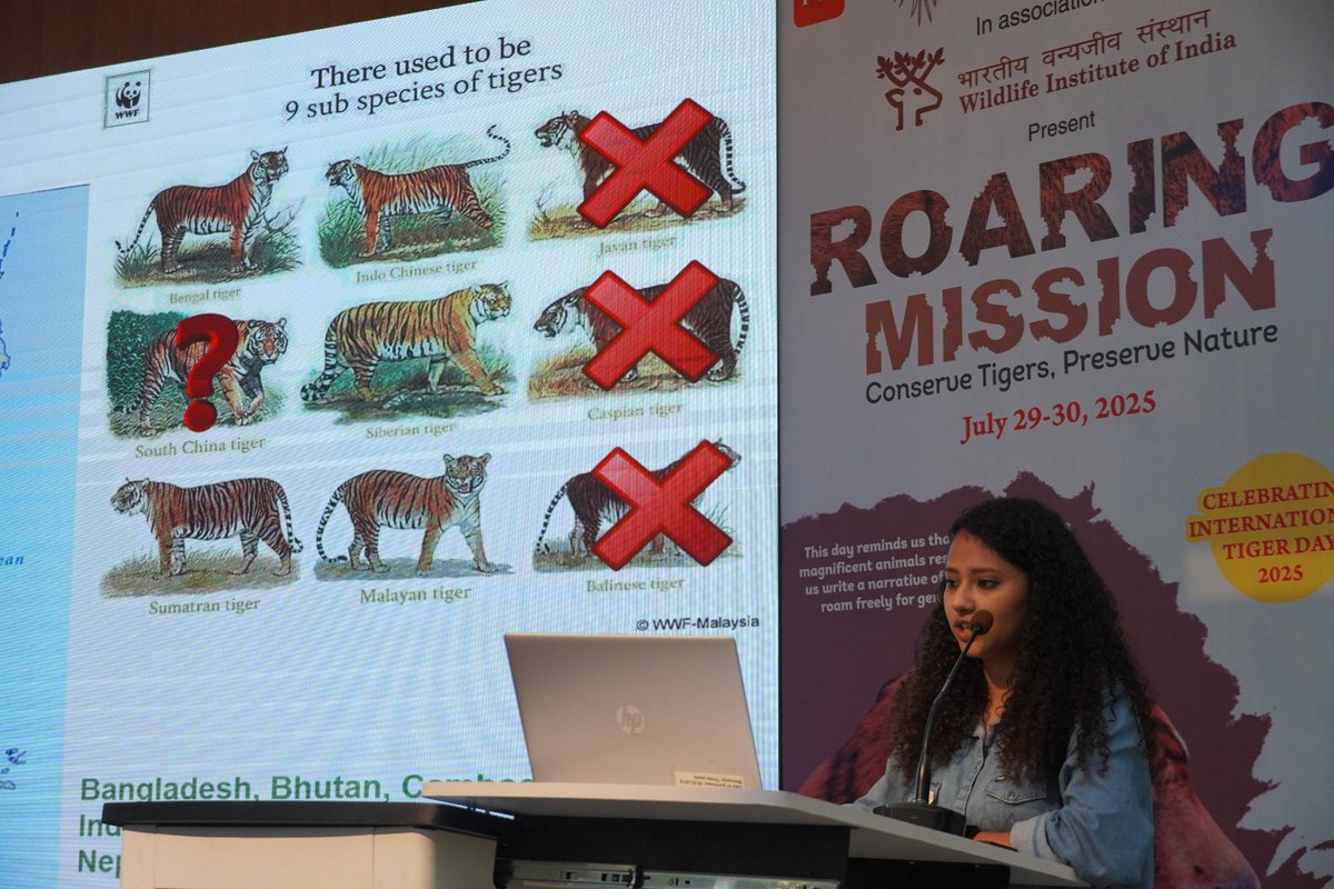 Wildlife Institute of India (@wii_india) on Twitter photo Day 2 of #GlobalTigerDay2025, An entrancing session by Aritra Roy <a href="/AritraaRoy1/">Aritraa Roy</a> spoke on various challenges of tiger conservation and ecology in India. Her insightful talk highlighted the importance of protecting these majestic creatures and their habitats.
<a href="/ntca_india/">National Tiger Conservation Authority</a> <a href="/wii_india/">Wildlife Institute of India</a> Day 2 of #GlobalTigerDay2025, An entrancing session by Aritra Roy <a href="/AritraaRoy1/">Aritraa Roy</a> spoke on various challenges of tiger conservation and ecology in India. Her insightful talk highlighted the importance of protecting these majestic creatures and their habitats.
<a href="/ntca_india/">National Tiger Conservation Authority</a> <a href="/wii_india/">Wildlife Institute of India</a>