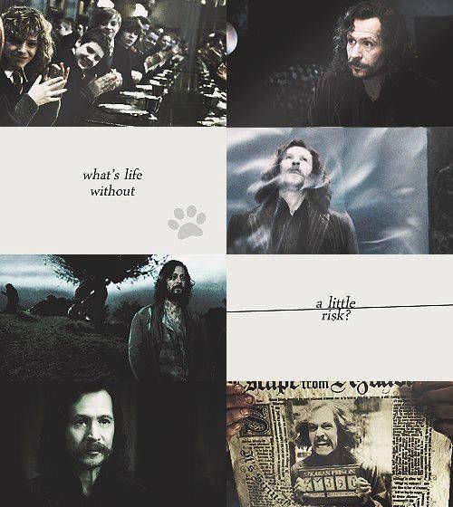"What's life without a little risk?" – Sirius Black