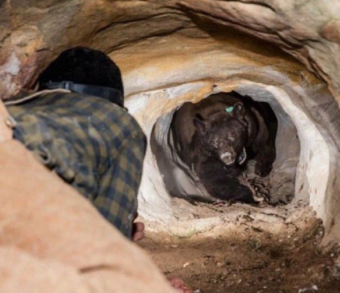 Nigerians reaching the end of the tunnel
