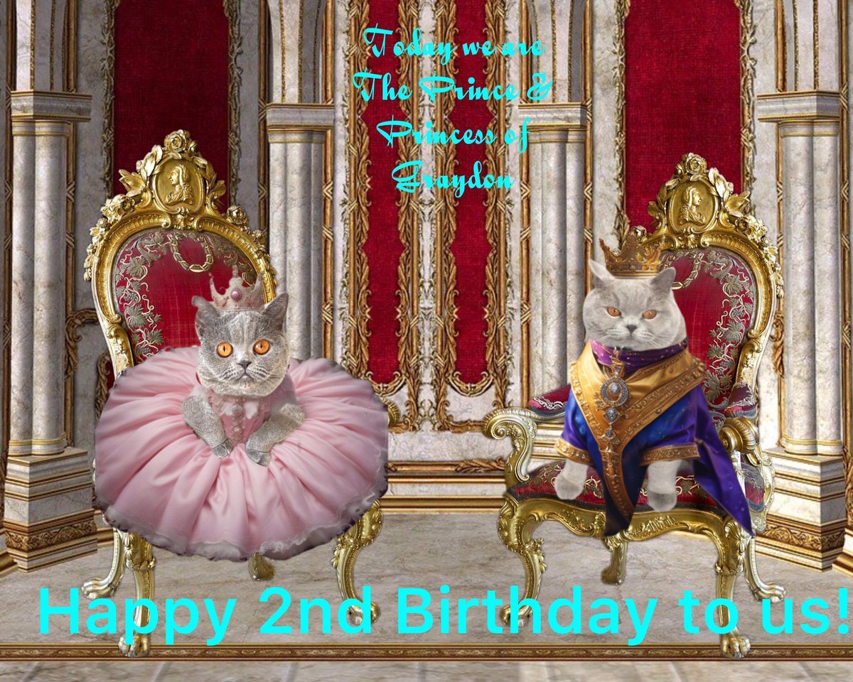 Today is the day! 😻🎂🎉😻🎂🎉
Happy #WhiskersWednesday to ALL 
Thanks to <a href="/JoyOfCats/">The Joy Of Cats 🫶🇨🇦</a> for our bday pic..
#CatsOfTwitter #CatsOnTwitter