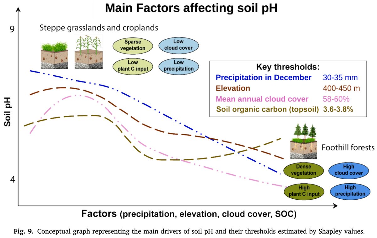 NEW in #CATENA
Mechanisms and drivers of soil pH assessed by Shapley additive Explanation
doi.org/10.1016/j.cate…

50-day Free: authors.elsevier.com/c/1lWZh1Dk5Agu…

#soil #agriculture #grasslands #landuse #acidification