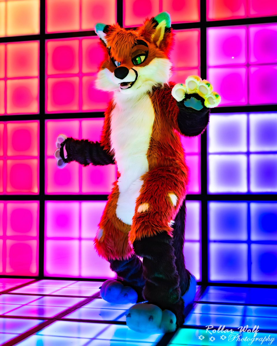 Rave Fox 

📸<a href="/rollarwolf/">Rollar Wolf</a>