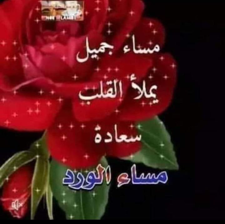 خالد ابو محمد ٢١/ اكتوبر 1966 (@kha41180131) on Twitter photo 