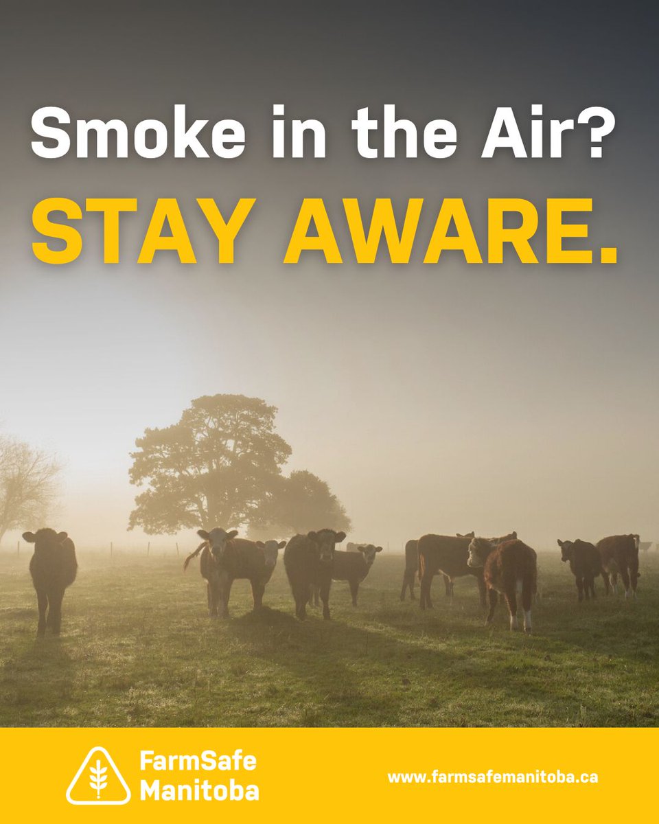 Wildfire smoke is more than haze; it’s a health hazard. Poor air quality affects breathing, focus, and long-term health. 

🚨 WCB Manitoba’s Hazard Alert has key tips to protect you and your team:
wcb.mb.ca/hazard-alerts/…