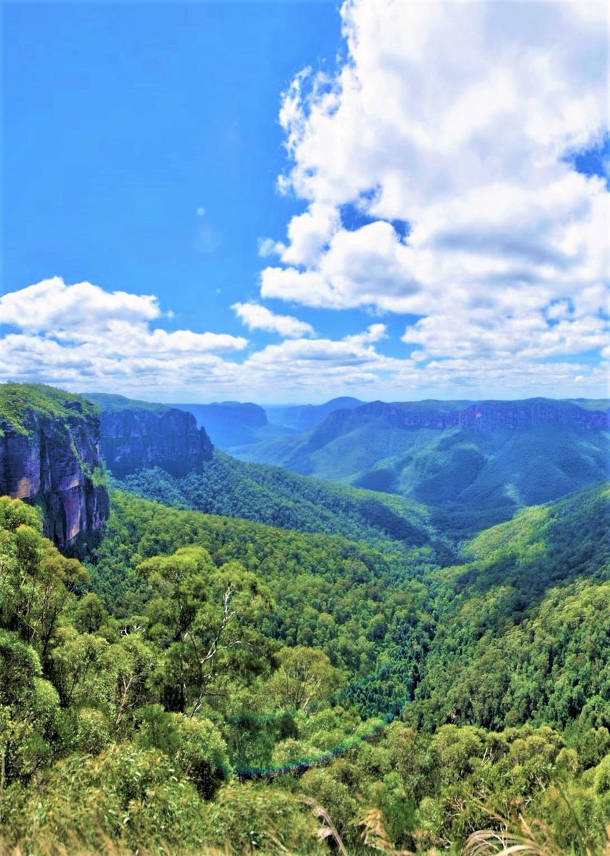 Blue Mountains,New South Wales-Australia.