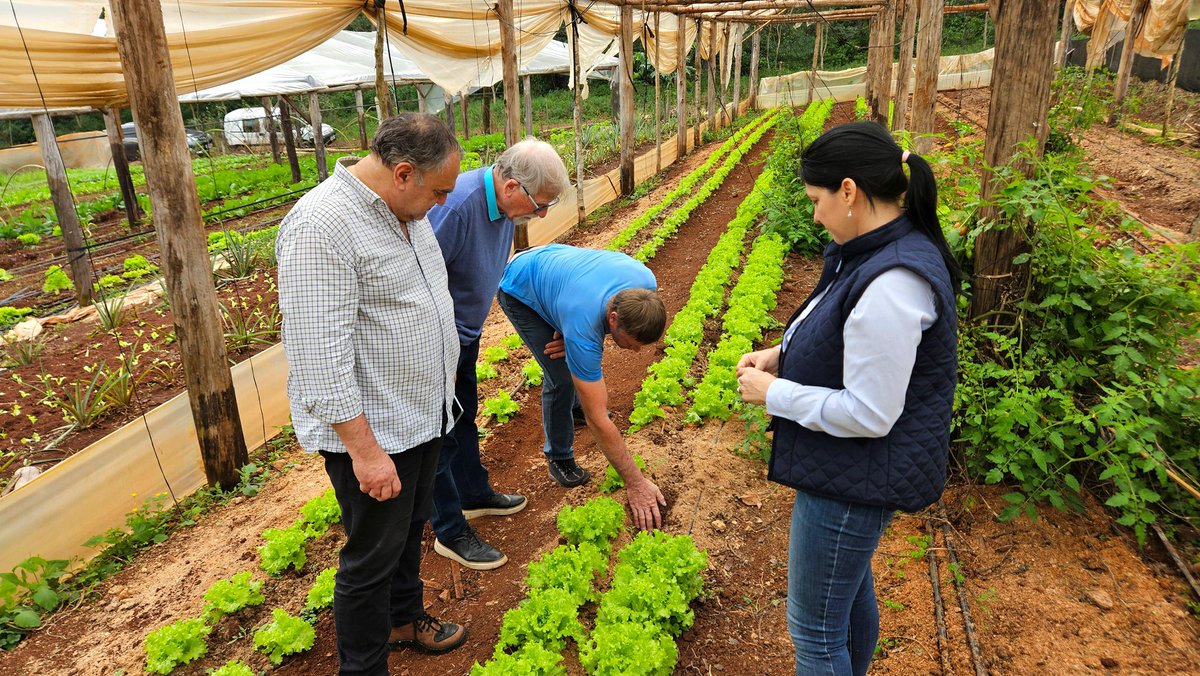 Visita a productores de Eldorado

Junto a los docentes de la Universidad Tecnológica Federal de Pato Branco, recorrimos cinco chacras de productores de Eldorado que nos abrieron sus puertas para compartir su experiencia y el enorme trabajo que realizan día a día.