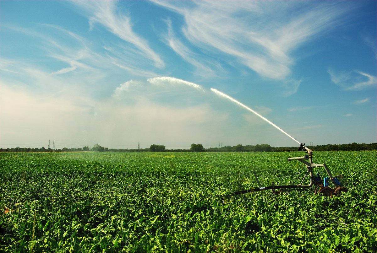 As water levels improve some temp abstraction restrictions are lifting.

We're working with the Internal Drainage Board to support farmers in parts of Cambs, Norfolk &amp; Suffolk. 

Abstractors can sign up for our water abstraction alerts service: bit.ly/40J1mo3
<a href="/NFUtweets/">National Farmers' Union</a>
