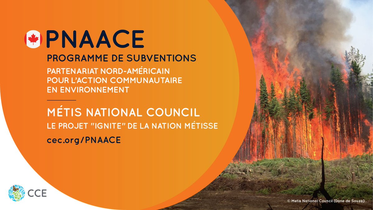 Commission de coopération environnementale (@cce_francais) on Twitter photo Grâce à une subvention du #PNAACE, le <a href="/MNC_tweets/">MétisNationalCouncil</a> aide la Nation métisse à gérer les #FeuxDeForêt de façon novatrice 🔥Ce projet offre une solution climatique globale axée sur les pratiques culturelles pour la résilience face à ces feux
+ d’info
👉cec.org/fr/north-ameri… Grâce à une subvention du #PNAACE, le <a href="/MNC_tweets/">MétisNationalCouncil</a> aide la Nation métisse à gérer les #FeuxDeForêt de façon novatrice 🔥Ce projet offre une solution climatique globale axée sur les pratiques culturelles pour la résilience face à ces feux
+ d’info
👉cec.org/fr/north-ameri…