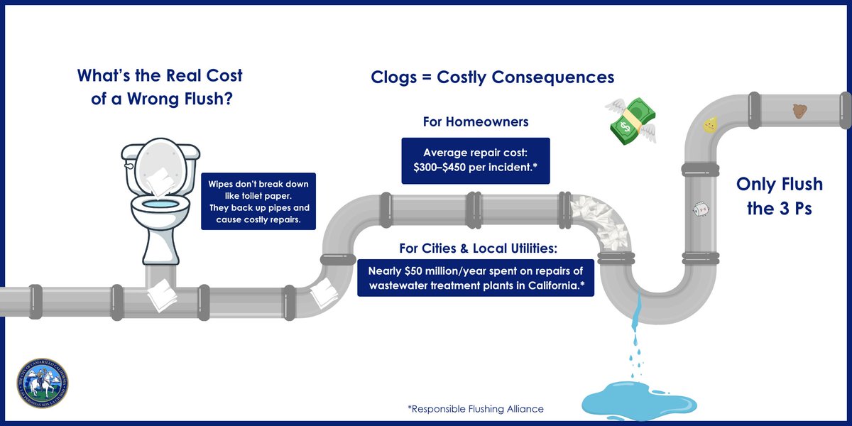 What’s the real cost of a wrong flush?

Learn more at: cityofcamarillo.org/protectthepipes

Source: Responsible Flushing Alliance

#FlushSmartMonth #ProtectThePipes #CityOfCamarillo