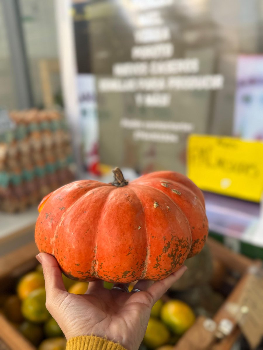 El MTE ya forma parte del Mercado Concentrador Zonal de Eldorado 

El Movimiento de Trabajadores Excluidos (MTE) es una organización nacional que reúne a miles de pequeños productores, campesinos y agricultores familiares.