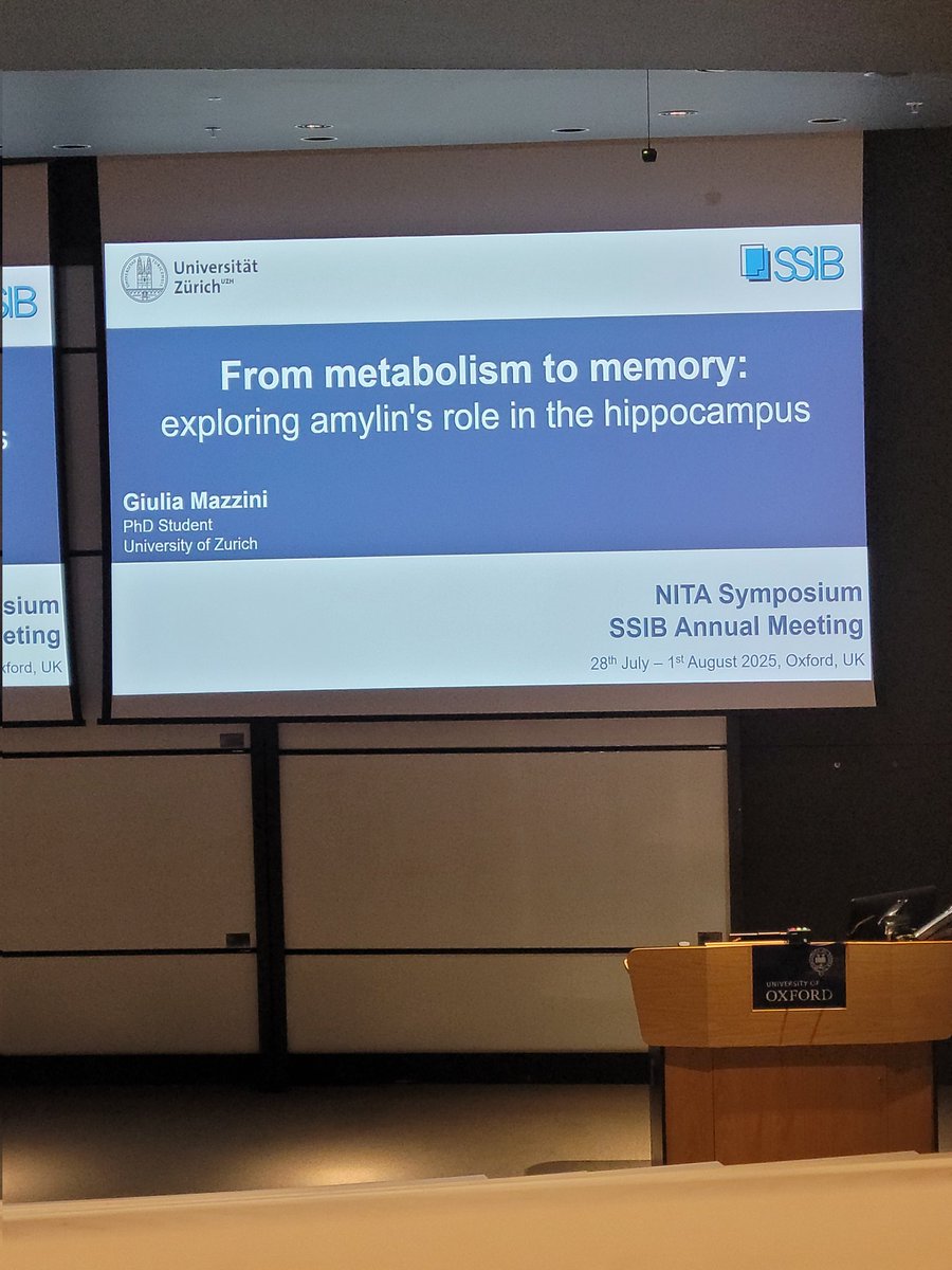 Giulia Mazzini discusses her work on amylin in the hippocampus #SSIB2025