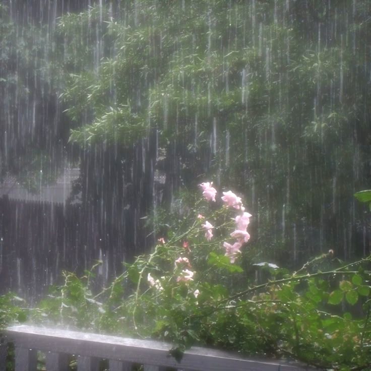 faeylicious's tweet image. ╭ ・ 彡 ― ― ― ― ― ― 🪟
🌧️ — Oh, no! it's raining! ☔ let's spend a rainy cozy day in our Apartment! ➥🚪! An Interactive Thread 🧵 🌆 #interactivethread