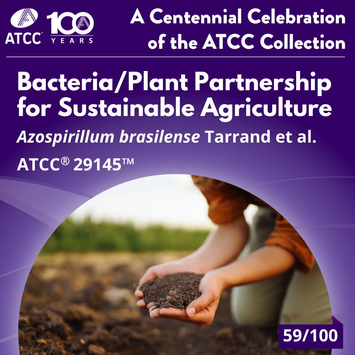 Beyond the gut, microbiomes thrive in soil too! Azospirillum brasilense boosts plant growth by fixing nitrogen &amp; aiding iron uptake. Seed coating with such microbes enhances yields &amp; resilience—paving the way for sustainable agriculture. 

Learn more: ow.ly/zkA650WwkAZ