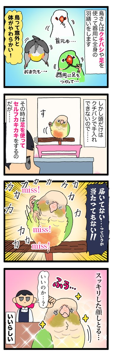 鳥さん、セルフカキカキしてるのにたまに全然届いてないことがある(❓❓❓)

2137 #えるポピの絵日記かくところ 