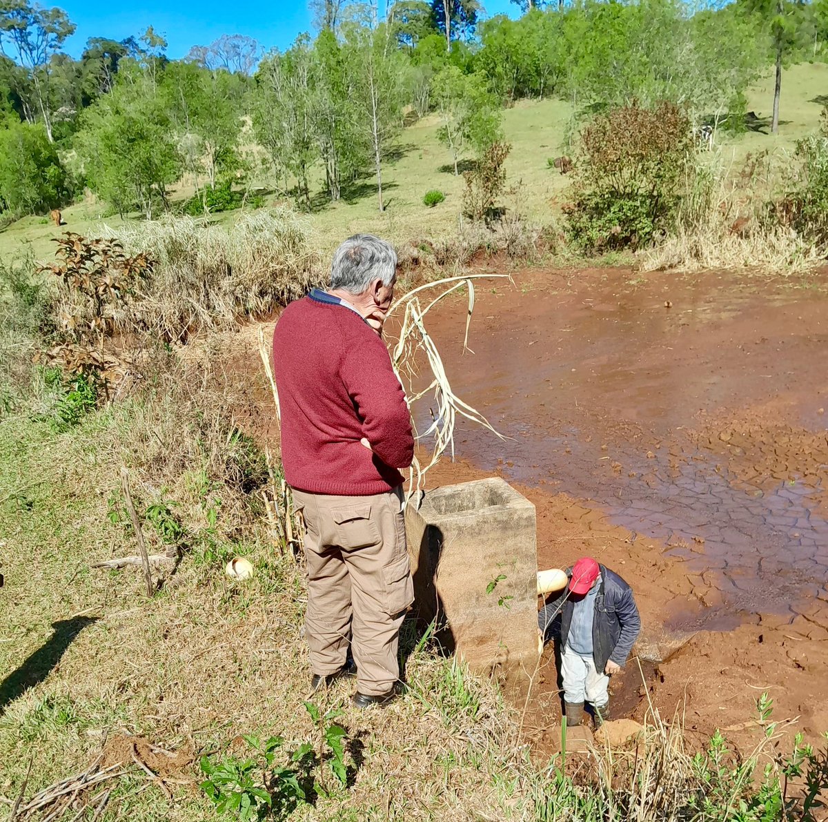 Impulso a la piscicultura en Campo Grande

En el municipio de Campo Grande se está impulsando un proyecto piscícola significativo, enfocado en la construcción de estanques para la producción de peces, tanto para el consumo local como para la comercialización.