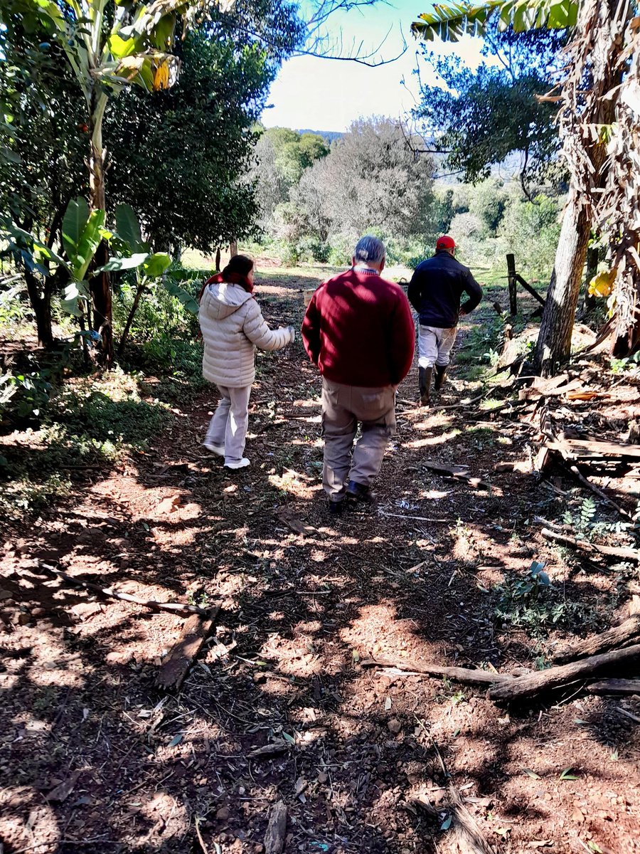 IMaCMnes's tweet photo. Impulso a la piscicultura en Campo Grande

En el municipio de Campo Grande se está impulsando un proyecto piscícola significativo, enfocado en la construcción de estanques para la producción de peces, tanto para el consumo local como para la comercialización. https://t.co/phfgokSCNQ