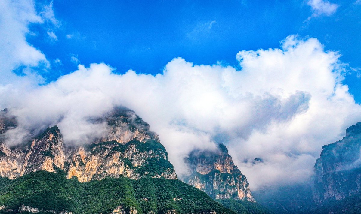 ShutterLife888's tweet photo. On 7/27, aerial view of Wangmangling showed dramatic peaks in drifting mist—an oxygen-rich haven teeming with rare wildlife. #Wangmangling #CloudSea #NatureReserve https://t.co/RYPfUZuAa0