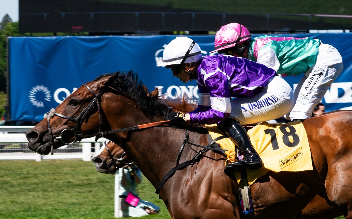 JTW Equine Images (@jtwequineimag) on Twitter photo QIRAT, seen here in the pink cap running 2nd <a href="/Ascot/">Ascot Racecourse</a> to Hickory in the Victoria Cup in May, wins the Group 1 Sussex Stakes #GloriousGoodwood. <a href="/Goodwood_Races/">Goodwood Racecourse</a>
Wow.
📸 ©️JTW Equine Images. QIRAT, seen here in the pink cap running 2nd <a href="/Ascot/">Ascot Racecourse</a> to Hickory in the Victoria Cup in May, wins the Group 1 Sussex Stakes #GloriousGoodwood. <a href="/Goodwood_Races/">Goodwood Racecourse</a>
Wow.
📸 ©️JTW Equine Images.