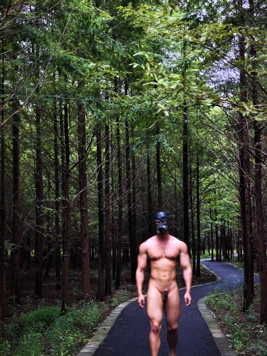 硬挺挺的朝你走来😈