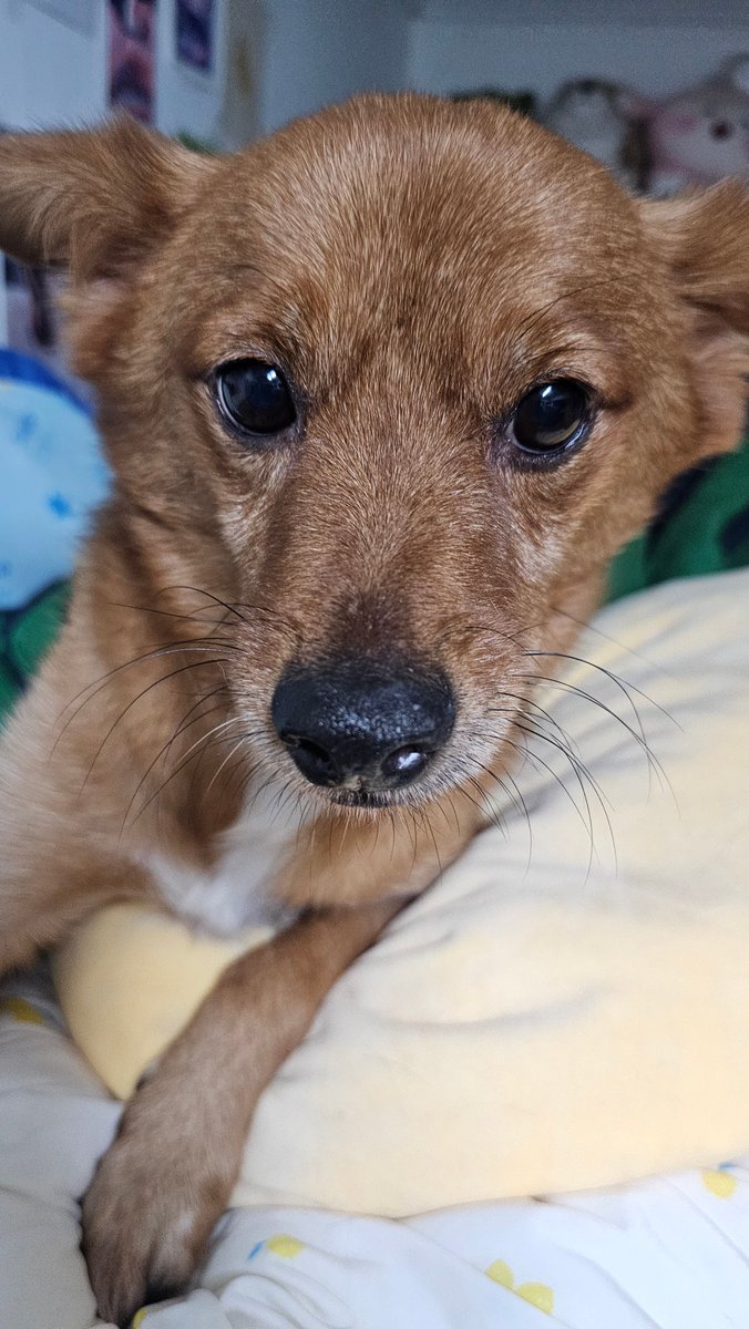 손 이리 내
쓰 다 듬 어