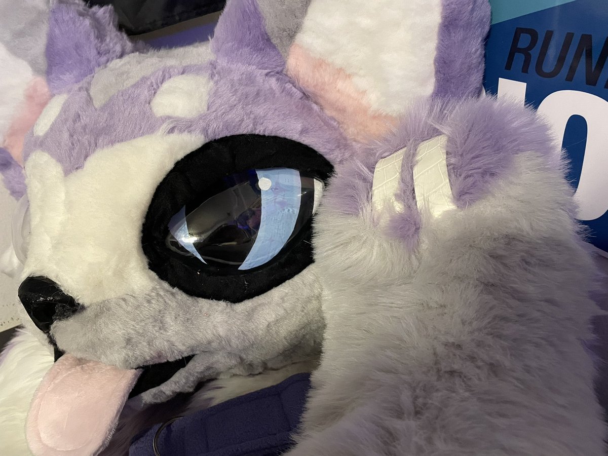 I’m selling this cat kemono suit for a friend for $1,200!

I can ship it TODAY if paid in full.

Comes with a character ref sheet, collar, paws, tail, head, battery pack, and removable tongue!