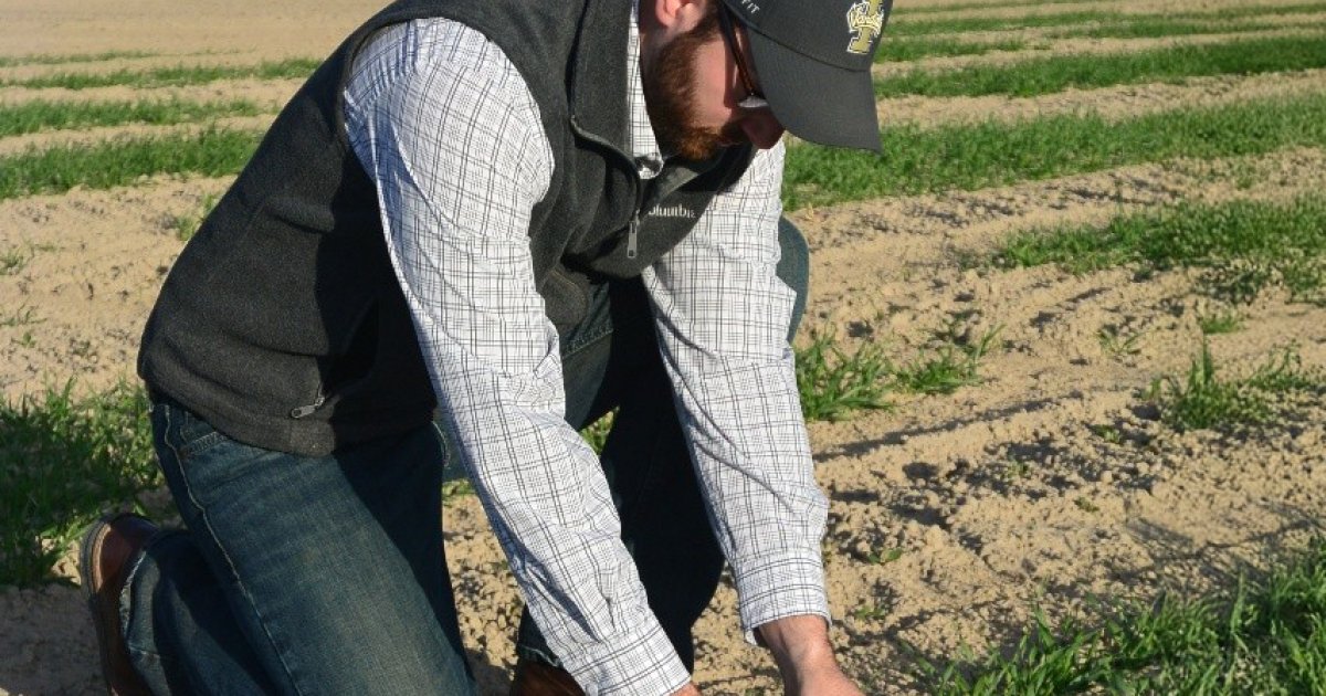 Earn 0.5 NM CEUs by reading the article, "Nitrogen management for irrigated hull-less food barley" and taking the quiz: bit.ly/4lCjxUQ