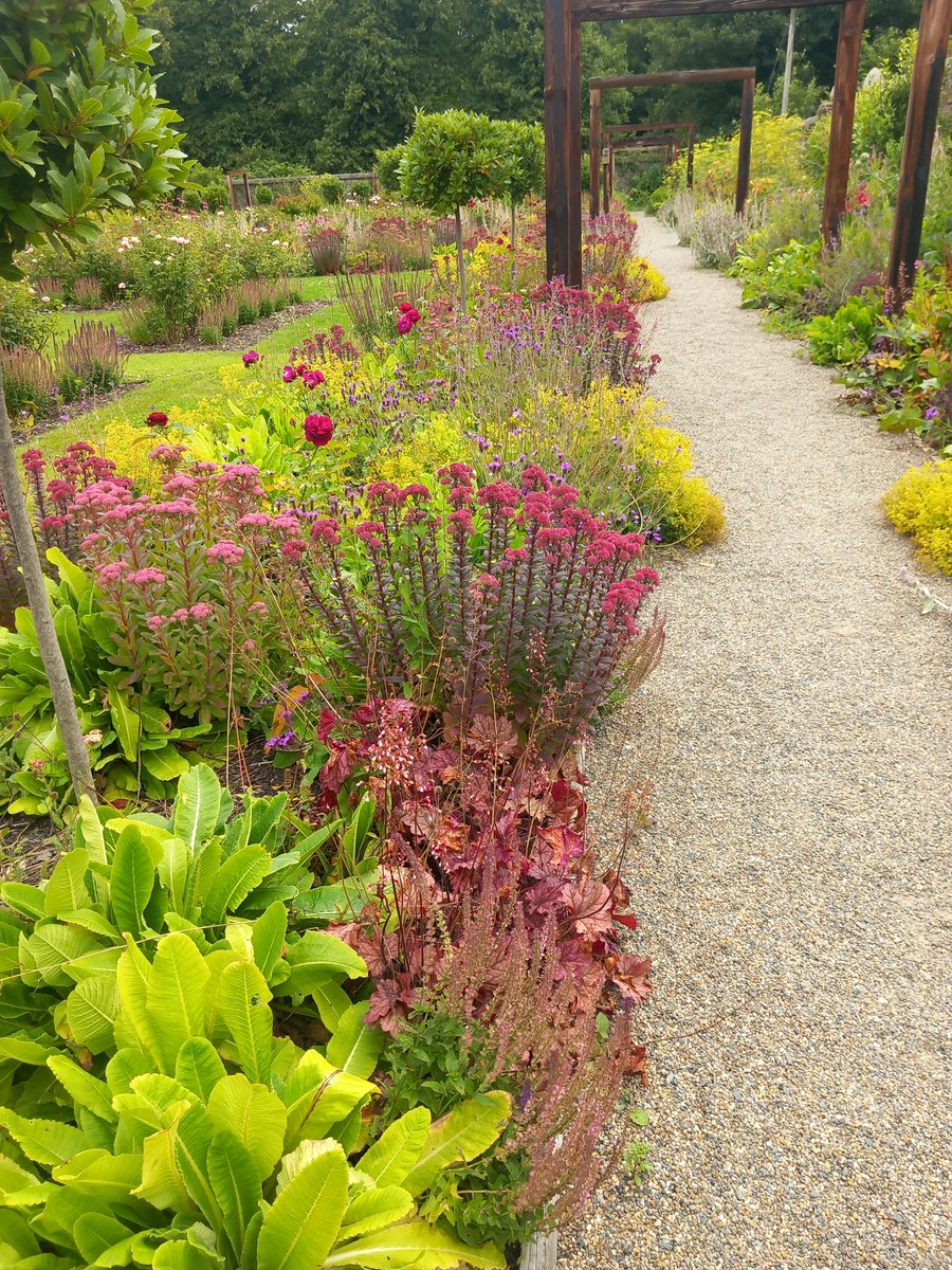 We walked around the beautiful Walled Garden at Wells House. I have visited so many gardens in the last 2 weeks I am thinking of applying to <a href="/TheMontyDon/">Monty Don</a> for an apprenticeship! <a href="/Wells_House/">Wells House Wexford</a>
<a href="/colcloughgarden/">Alan Ryan</a> <a href="/johnstowncastle/">Johnstown Castle Estate, Museum & Gardens</a>  #AltamontHouse