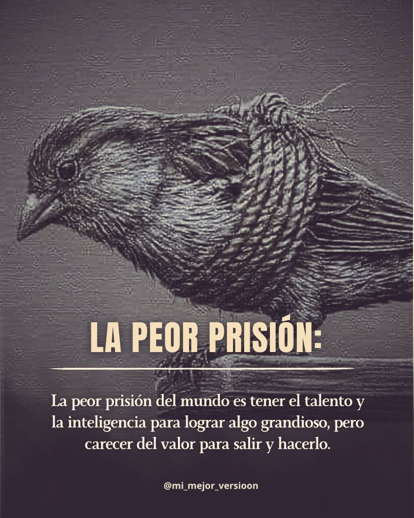 Omar Mohamed (@omimohamed) on Twitter photo 